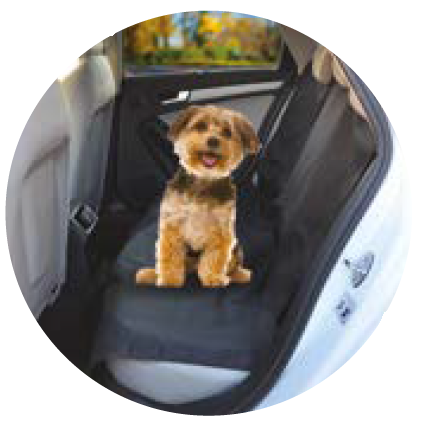 Funda asiento tras para perros