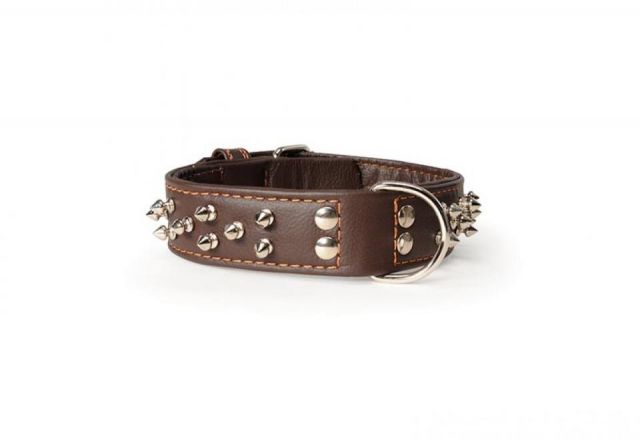 Collar with studs 40x550mm