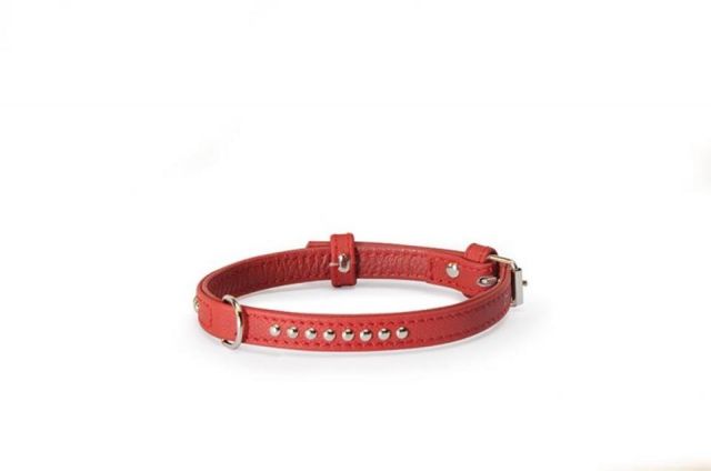 Collar rojo con studs 15x450